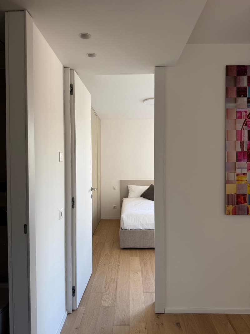Appartement confortable 2.5 pièces à Viganello avec balcon (2)