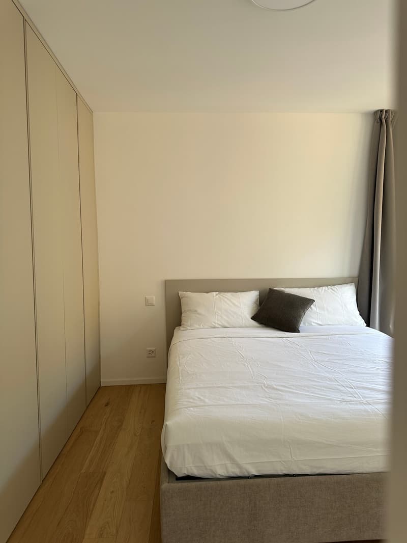 Elegante appartamento 5.5 locali a Viganello con balcone (11)