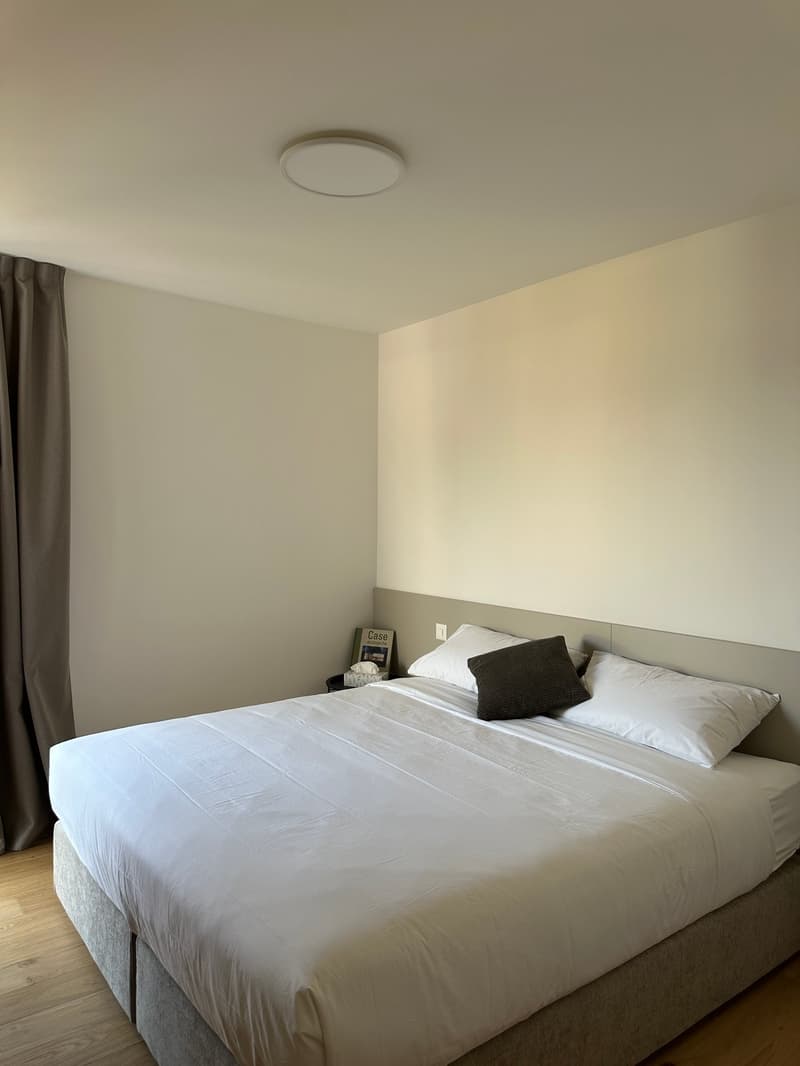 Elegante appartamento 5.5 locali a Viganello con balcone (6)
