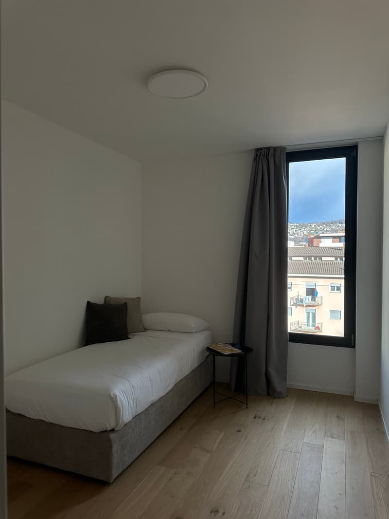 Elegante appartamento 5.5 locali a Viganello con balcone (14)