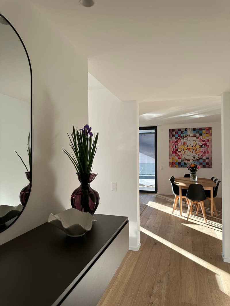 Elegante appartamento 5.5 locali a Viganello con balcone (1)