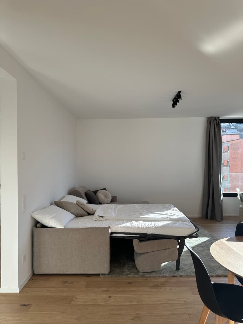 Elegante appartamento 5.5 locali a Viganello con balcone (8)