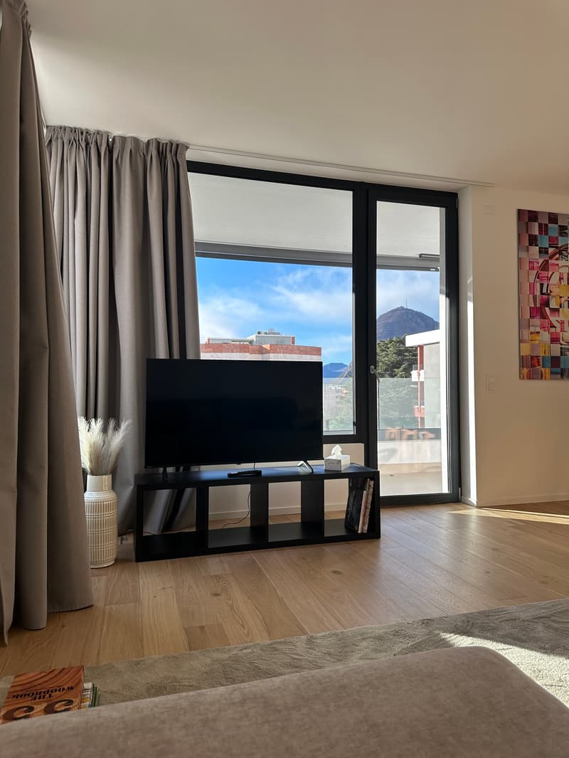 Elegante appartamento 5.5 locali a Viganello con balcone (4)