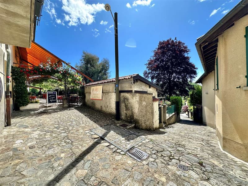 A CURIO surrounded by greenery - 2.5-room duplex (11)