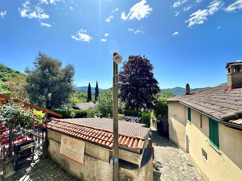 A CURIO surrounded by greenery - 2.5-room duplex (10)