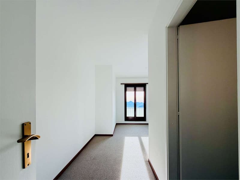 Lopagno - vaste appartement 2.5 pièces avec terrasse vue sur le lac et piscine (10)