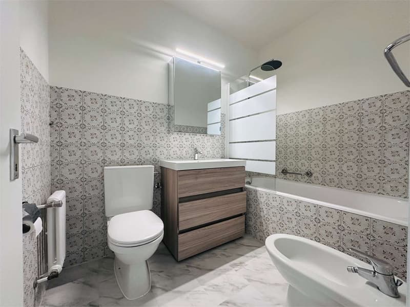 Spacious 3.5-room apartment in Stabio RENOVATED (11)