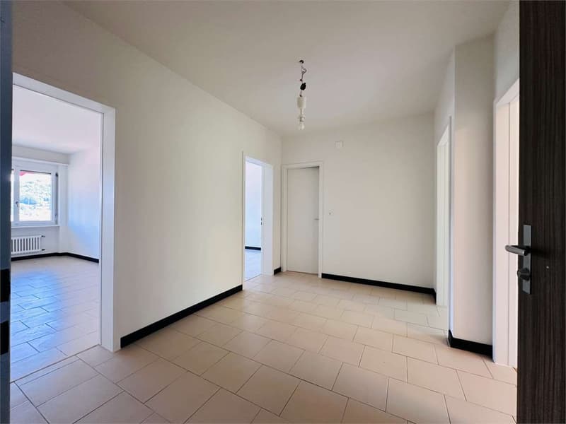 Spacious 3.5-room apartment in Stabio RENOVATED (3)