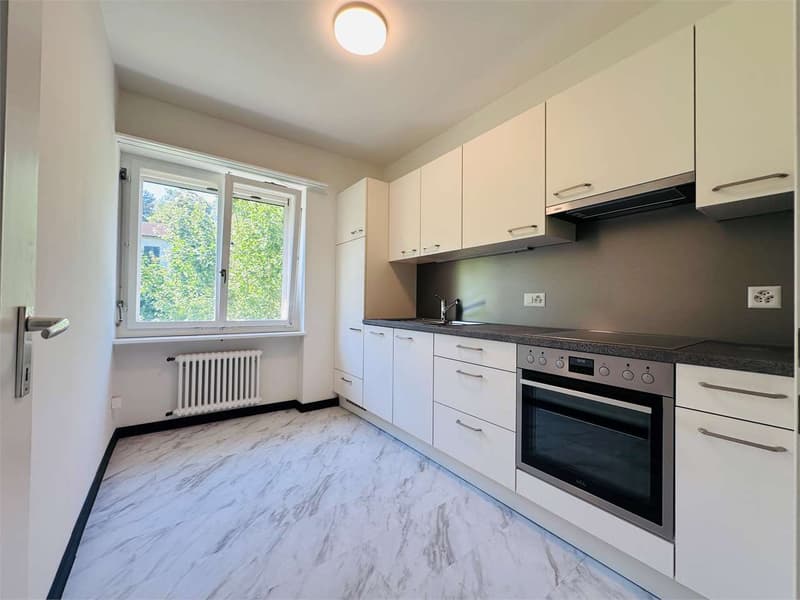 Spacious 3.5-room apartment in Stabio RENOVATED (10)