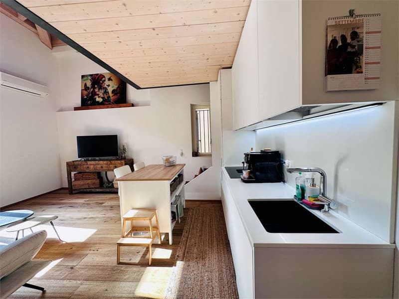 Riva S. Vitale ...à deux pas du lac, nous vendons 3,5 pièces duplex mansarde (2)