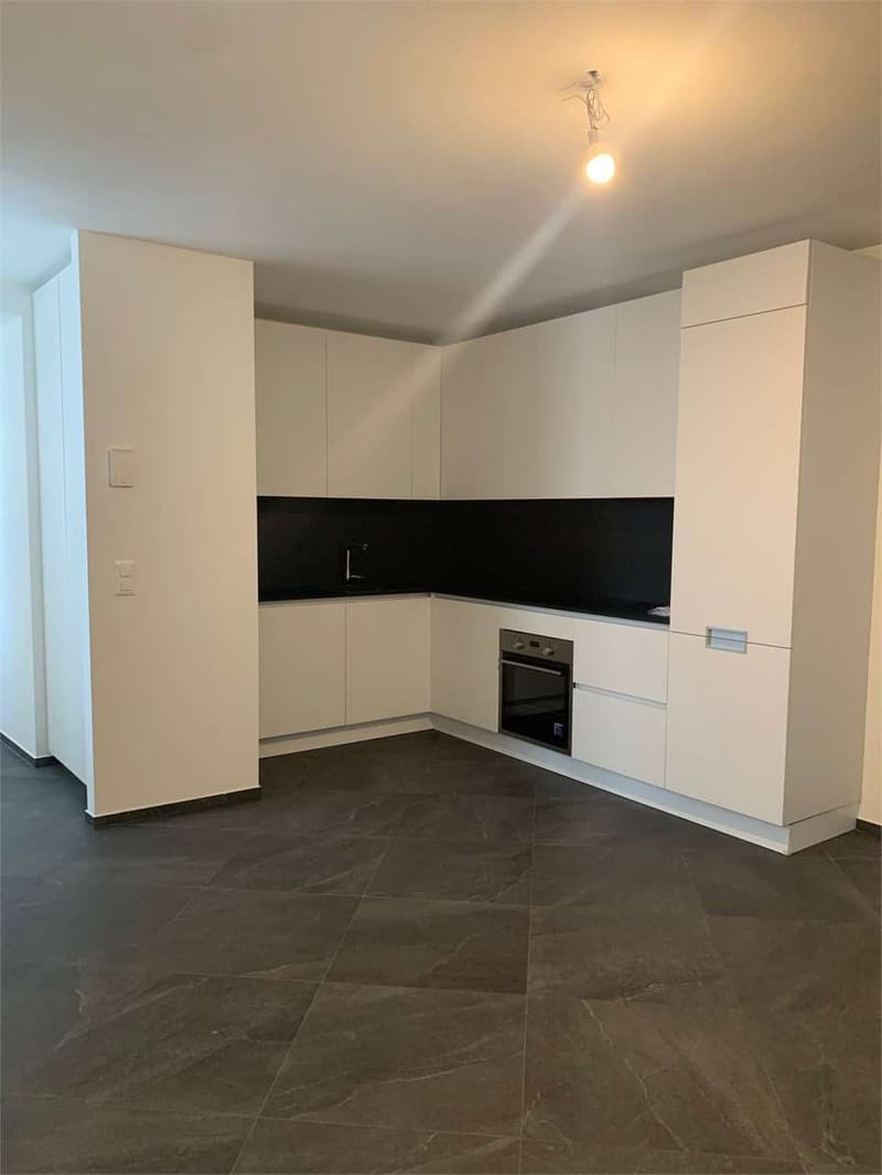 Riva S. Vitale ...à deux pas du lac, nous vendons un duplex moderne de 3,5 pièces (3)