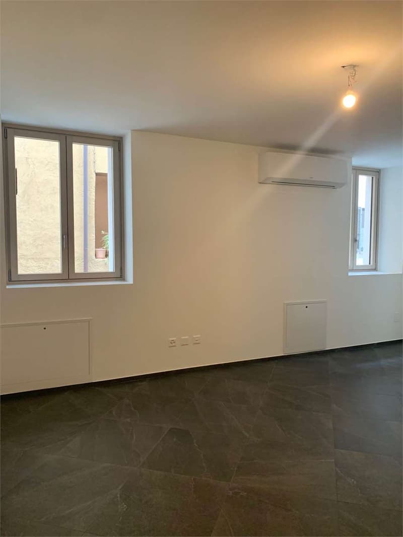 Riva S. Vitale ...à deux pas du lac, nous vendons un duplex moderne de 3,5 pièces (2)