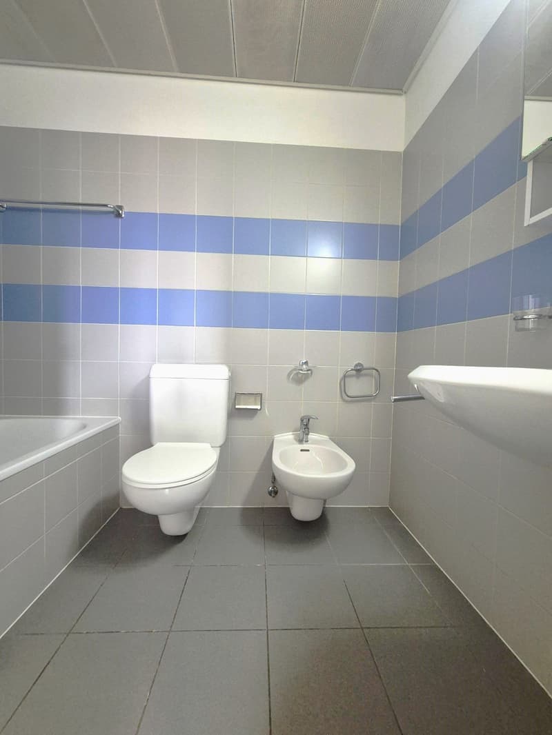 Bathroom with blue and white tiles, white fixtures, bathtub, toilet, bidet, sink