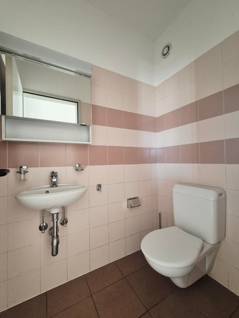 A small bathroom with a white sink, a toilet, and pink-and-white tiled walls. There is a mirror above the sink, and a metal holder for a roll of toilet paper.