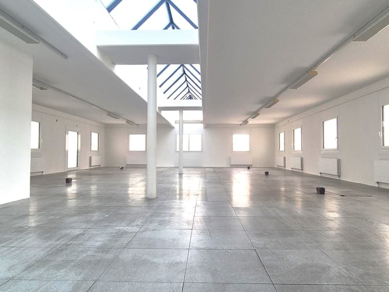 196 sqm Open Space Office in the Heart of Chiasso (2)