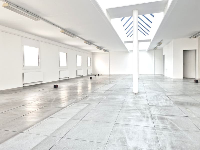196 sqm Open Space Office in the Heart of Chiasso (3)