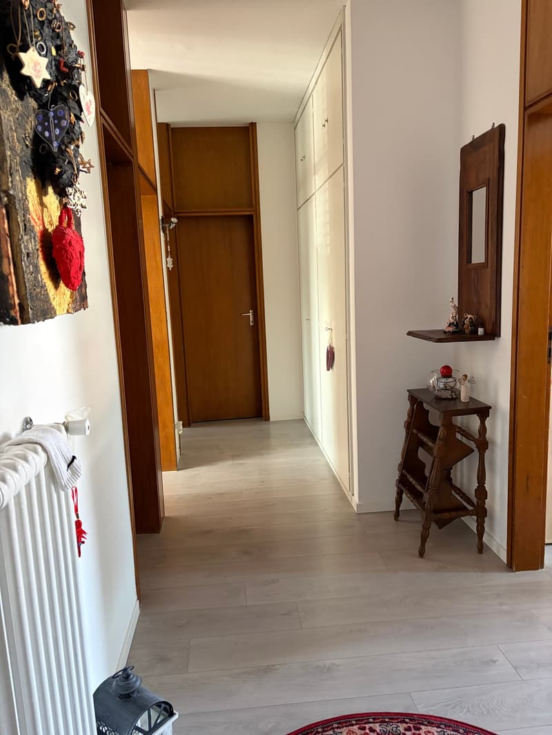 Appartamento 3.5 locali con Vista Aperta (9)