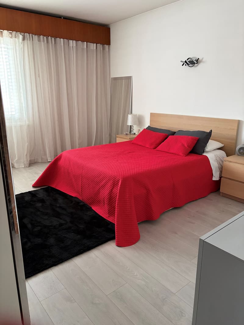 Appartamento 3.5 locali con Vista Aperta (3)