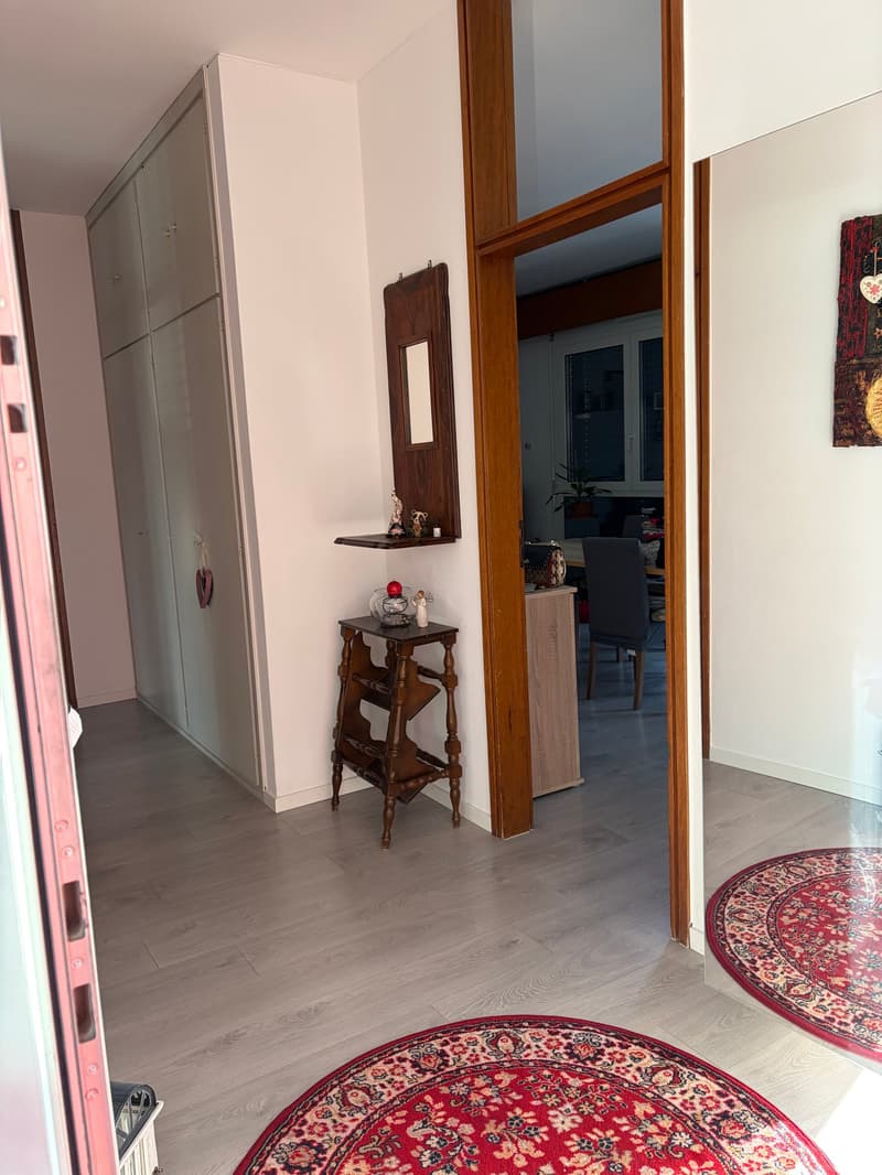 Appartamento 3.5 locali con Vista Aperta (12)