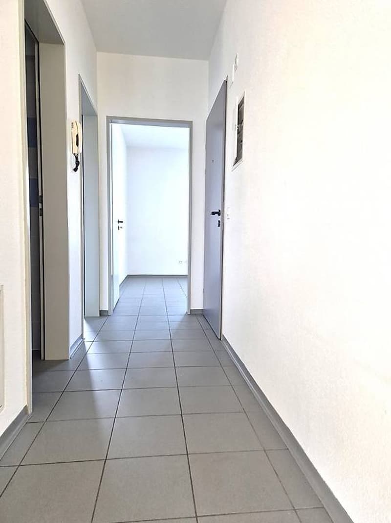 3.0 room apartments with balcony in well-served area (3)