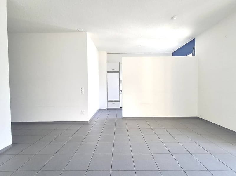 3.0 room apartments with balcony in well-served area (1)