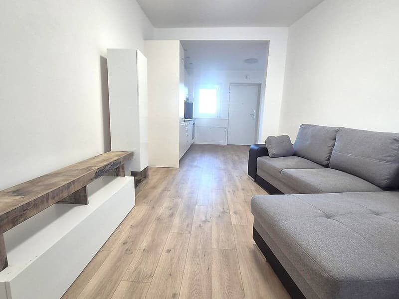 Fantastic and advantageous 3-room apartment FURNISHED (5)