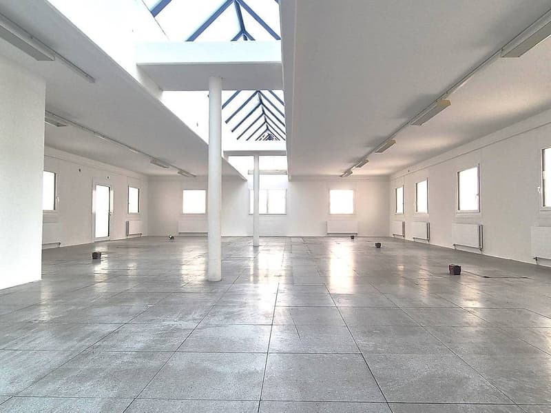 196 sqm Open Space Office in the Heart of Chiasso (2)
