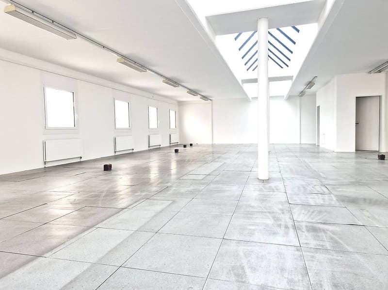196 sqm Open Space Office in the Heart of Chiasso (3)
