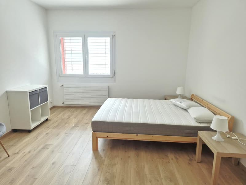 Charming 1.5-room apartment furnished (3)