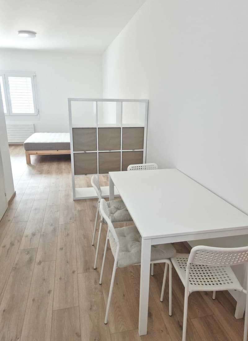 Charming 1.5-room apartment furnished (2)