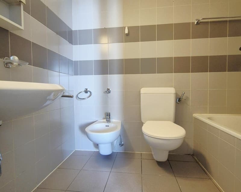 Apartments 3.0 rooms Furnished (4)