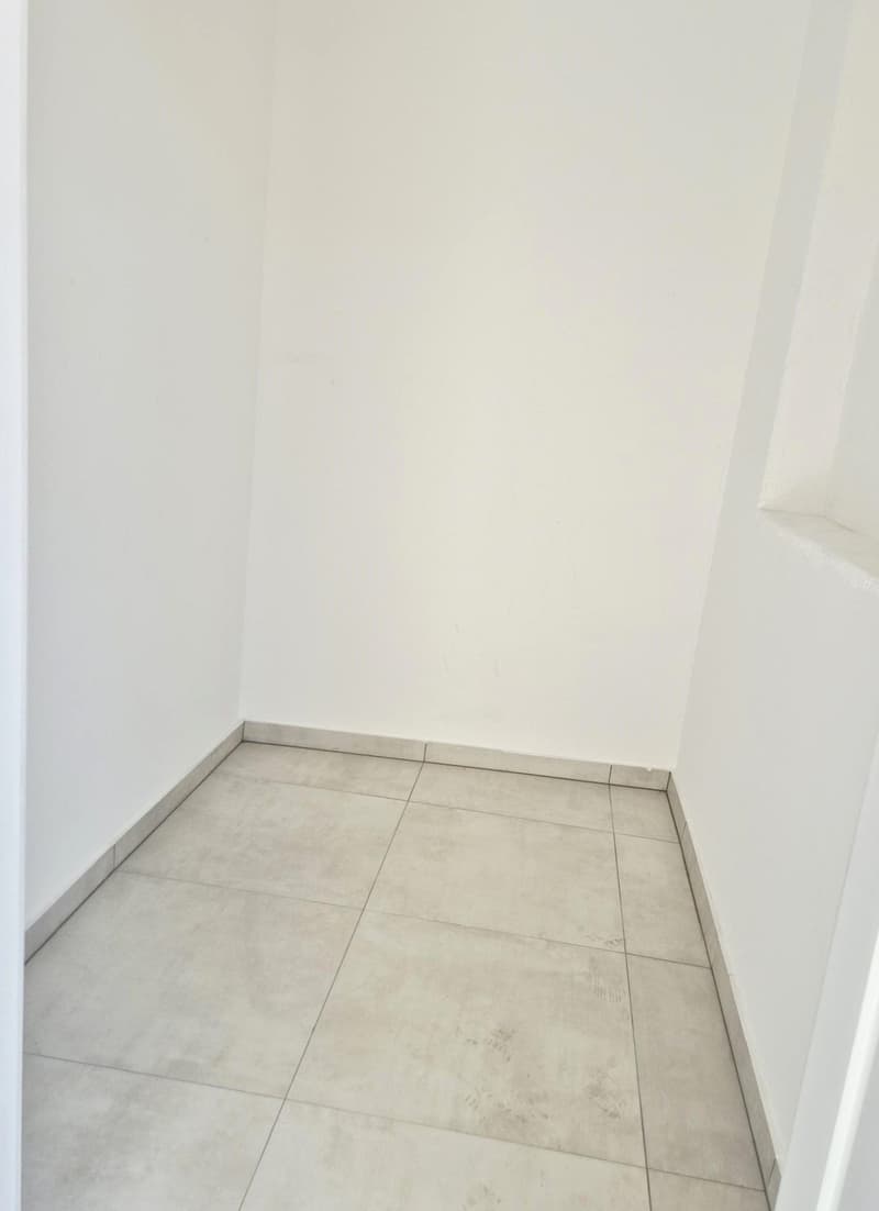 Appartamento 3.5 locali completamente rinnovato con Vista Lago (8)