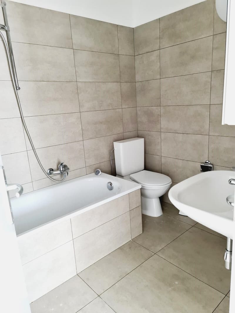 Appartamento 4,5 locali ideale per Famiglie (6)
