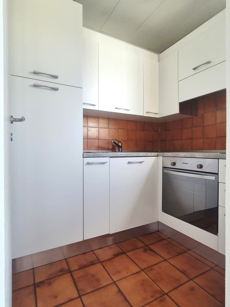 Appartamento 3,5 locali con vista (5)