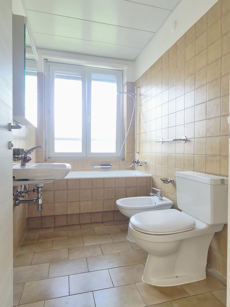 Appartamento 3,5 locali con vista (6)