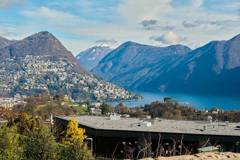 LIBELLULA RESIDENCE: Stupendo appartamento con enorme giardino e vista lago (2)