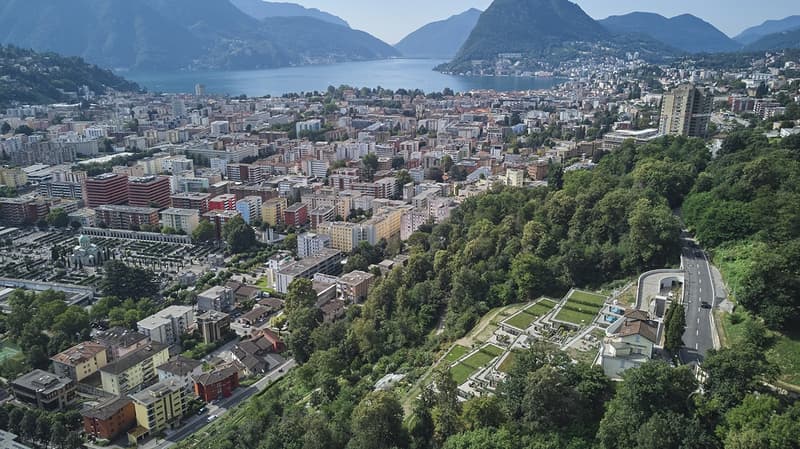 Bellissimo 3,5 Locali con grande Giardino presso la RESIDENZA MIRADOR (3)