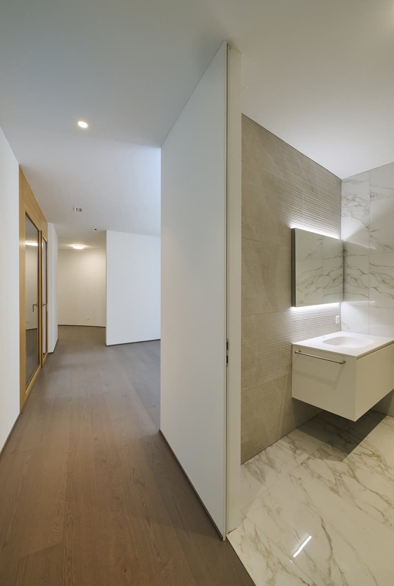 Bellissimo 3,5 Locali con grande Giardino presso la RESIDENZA MIRADOR (7)