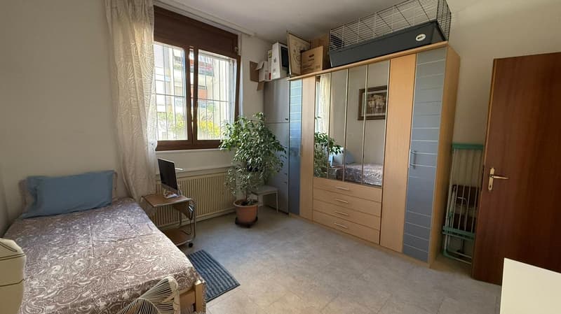 single bed with desk, wooden cabinet with mirror, plant, window with white curtain, wooden door, radiator