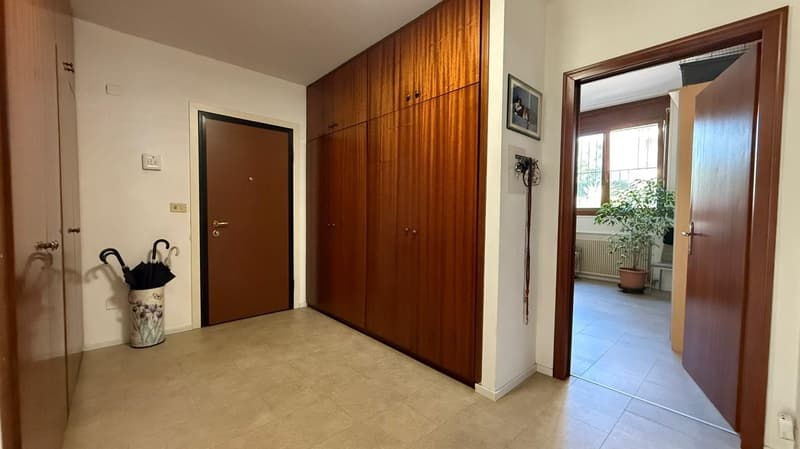 Wooden cabinets, tiled floor, entrance door, small flower pot