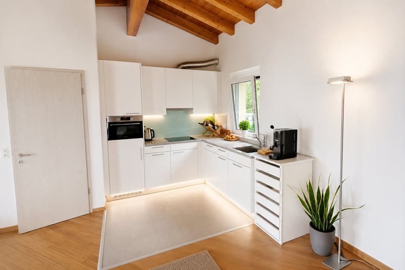 Appartement mansardé de 2,5 pièces avec vue sur le lac (5)