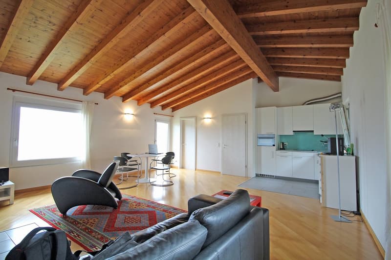 Attic with 2.5 rooms and lake view (2)