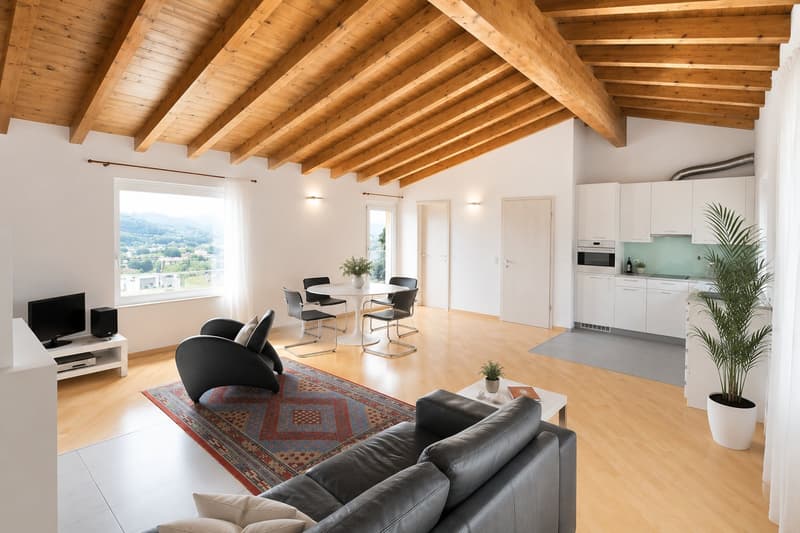 Appartement mansardé de 2,5 pièces avec vue sur le lac (2)