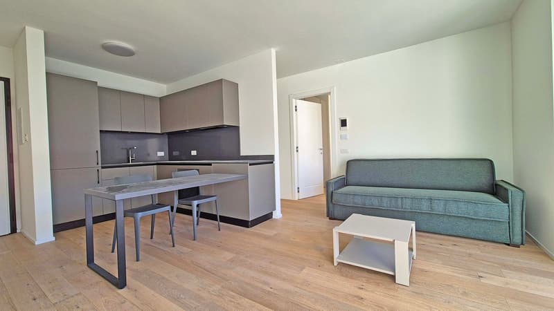 Rent to buy - new 2.5-room apartment (2)
