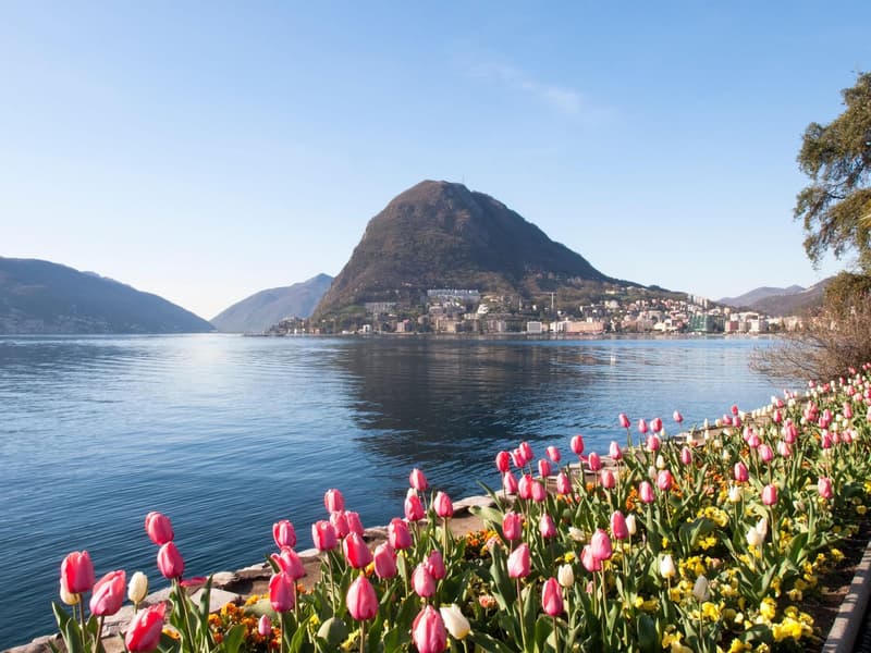 Private Opportunities | Exclusive Villas and Penthouses in Lugano Area (1)