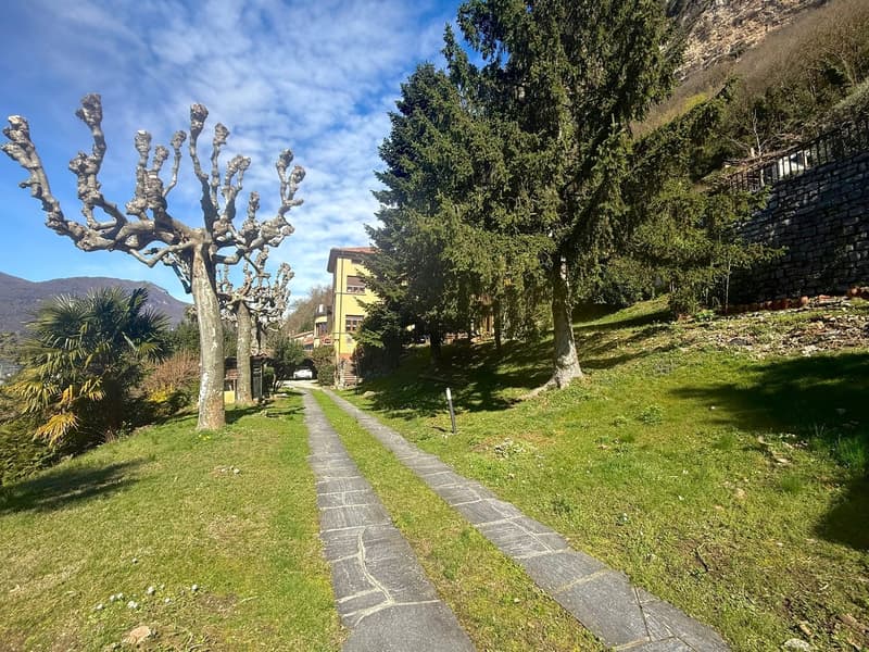 Großes Haus im Grünen mit bebaubarem Park (12)