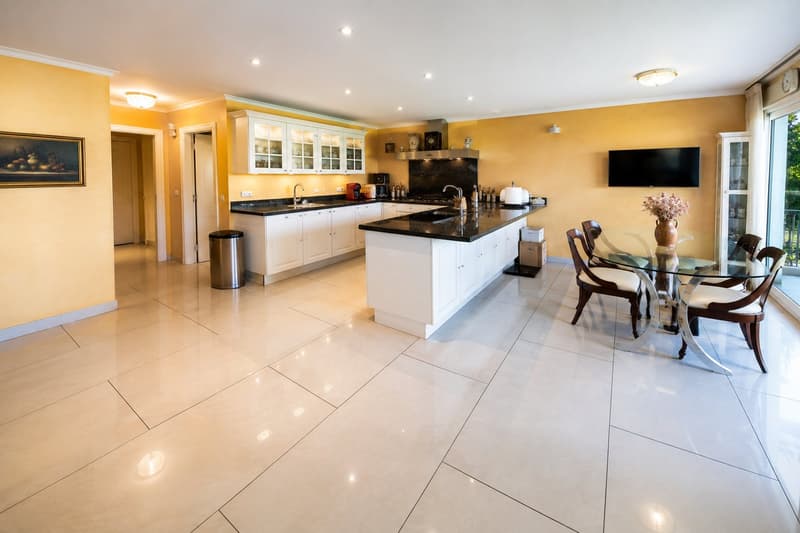 Pregassona – Elegante appartamento di 7 locali con terrazza, piscina e area wellness (5)