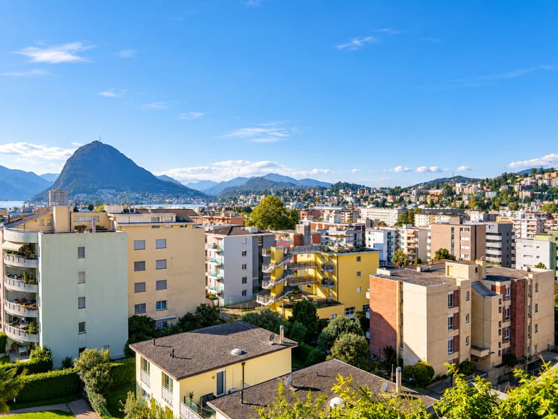 3, locali con grande terrazza, piscina, palestra e area wellness (19)
