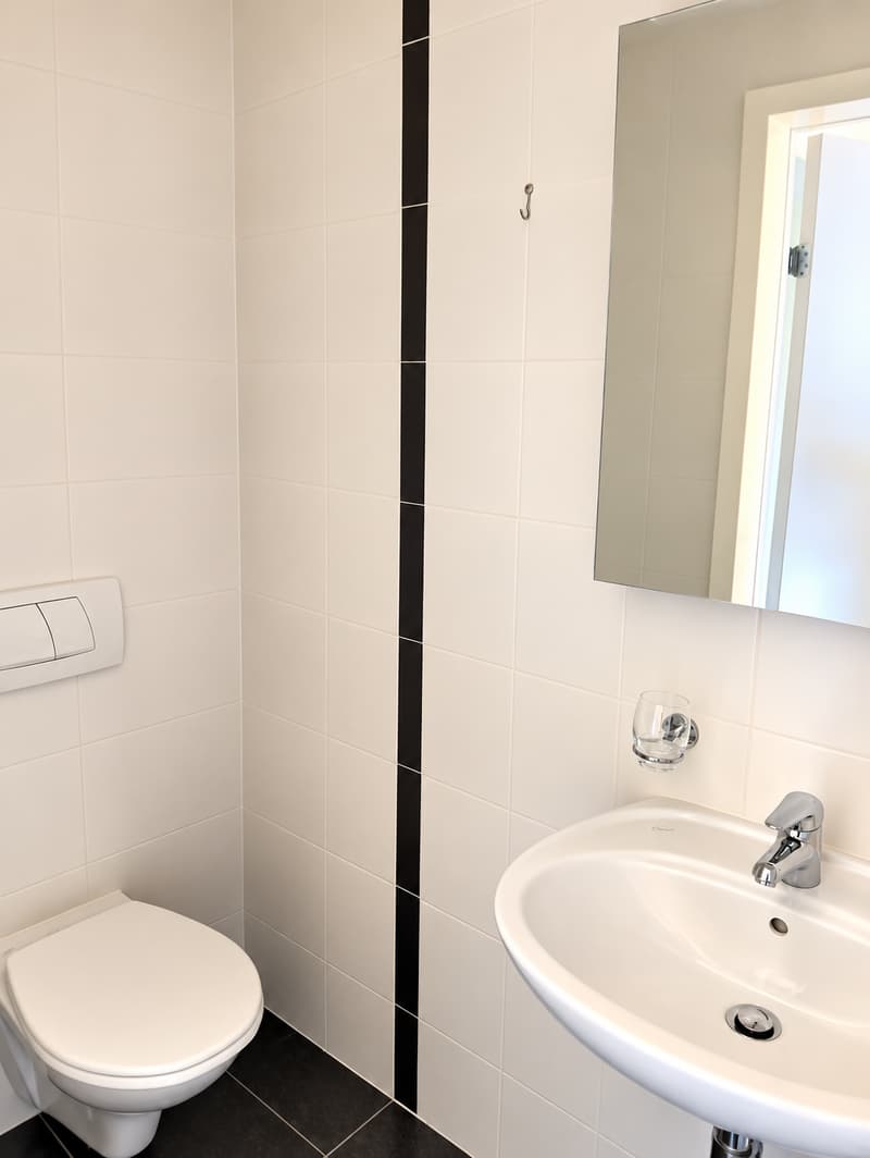 3, locali con grande terrazza, piscina, palestra e area wellness (7)