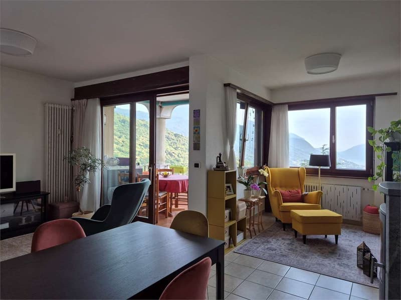 2613_Lopagno_Bright 2.5 rooms with panoramic view. (3)